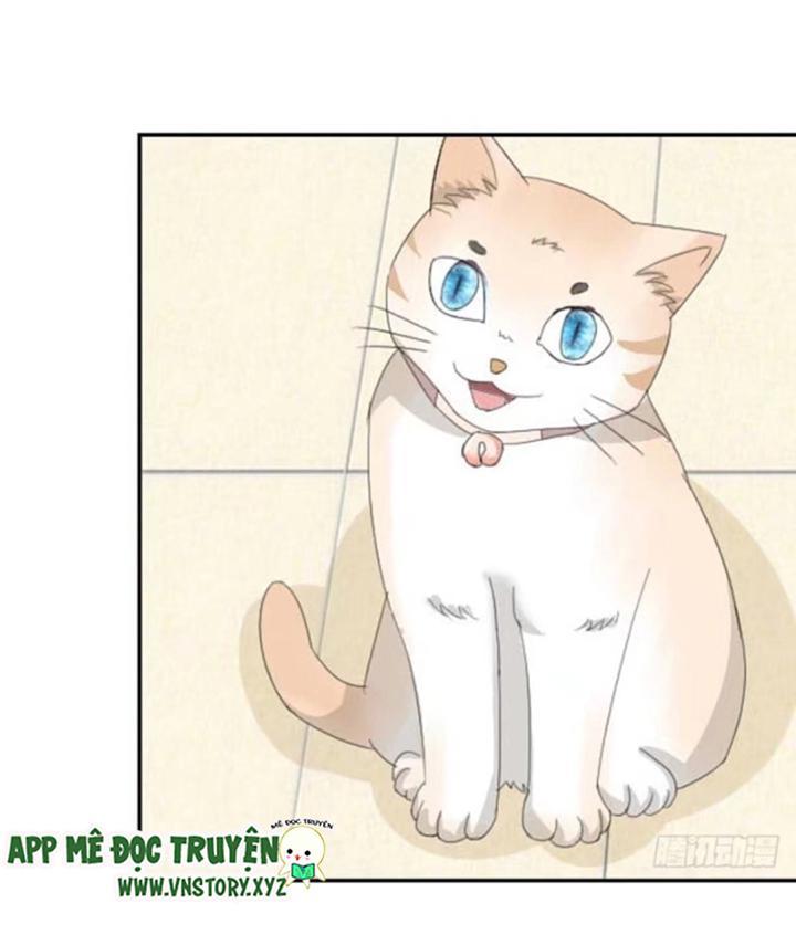 Nam Thần Ma Cà Rồng: Sủng Nhược Tiểu Lãn Thê Chapter 19 - Trang 2