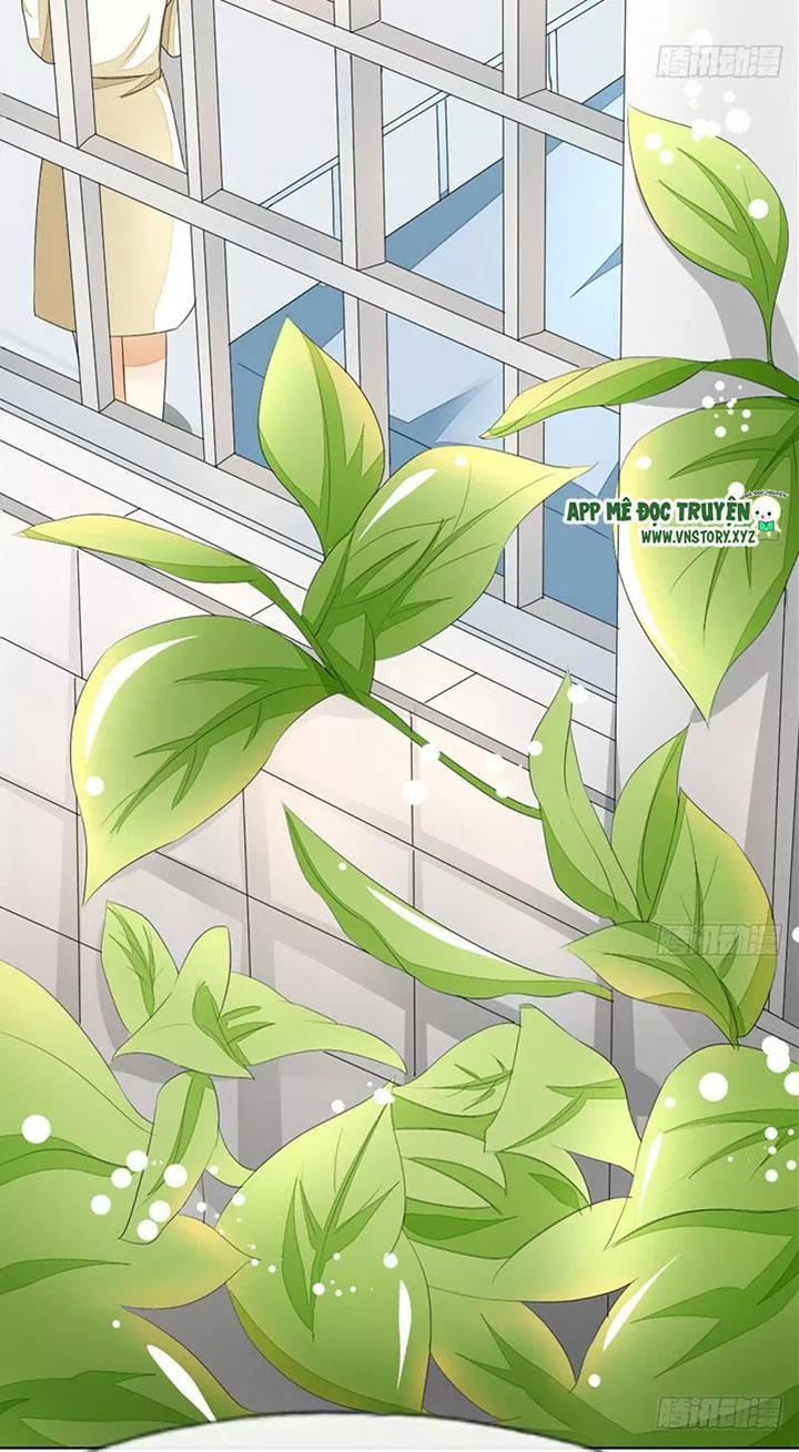 Nam Thần Ma Cà Rồng: Sủng Nhược Tiểu Lãn Thê Chapter 70 - Trang 2