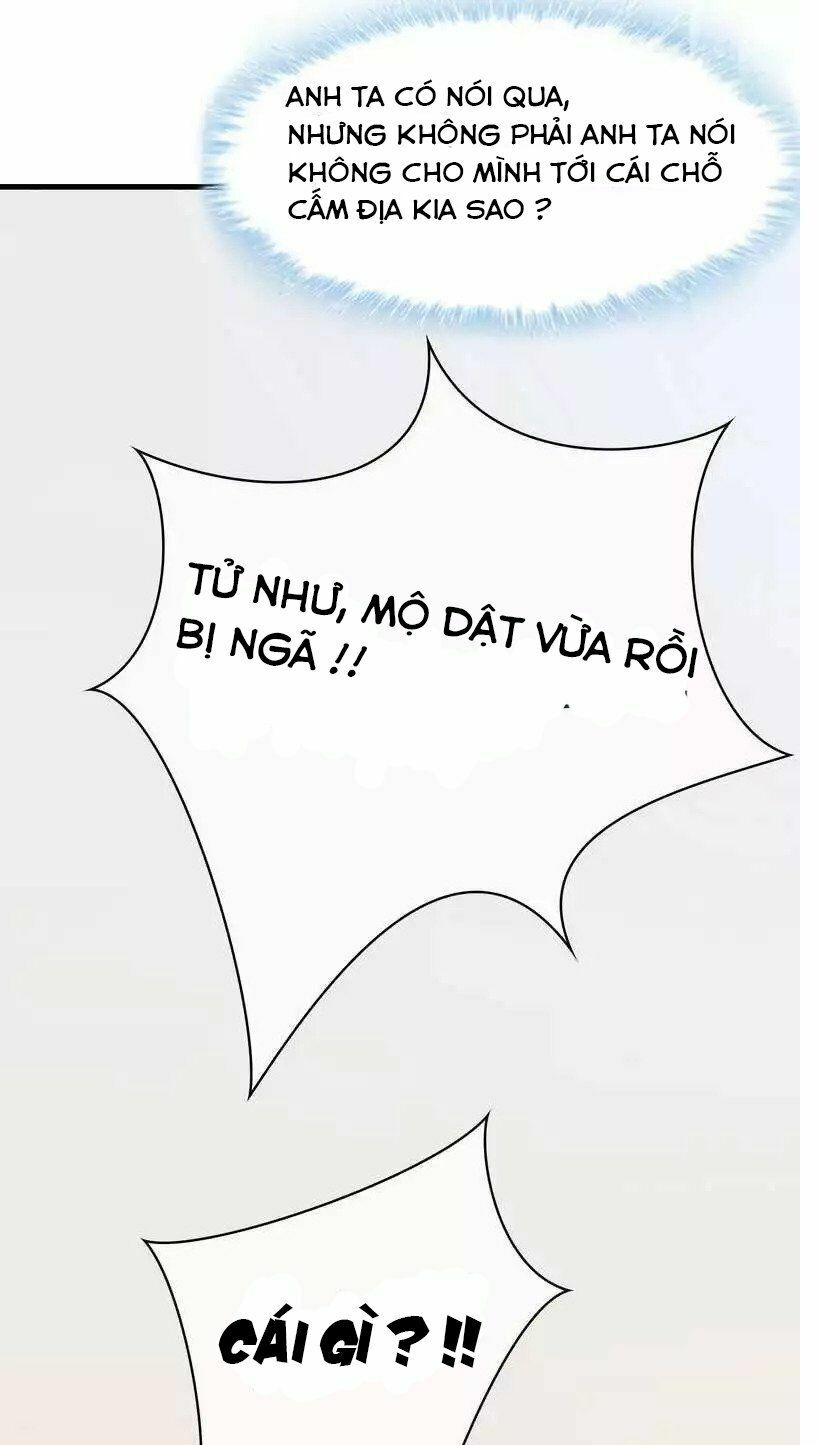 Nam Thần Manh Bảo Tận Diệt Chapter 17 - Trang 2