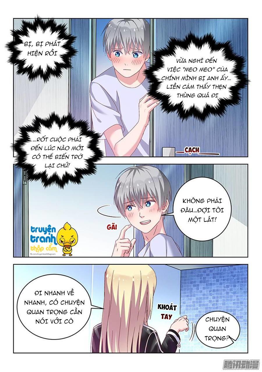 Nam Thần Quốc Dân Biến Thân Chapter 28 - Trang 2