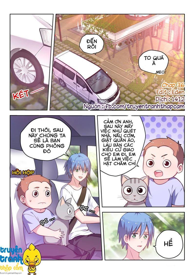 Nam Thần Quốc Dân Biến Thân Chapter 36 - Trang 2