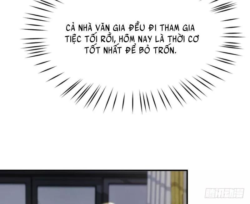 Nam Thần Truy Thê Chỉ Nam Chapter 5 - Trang 2