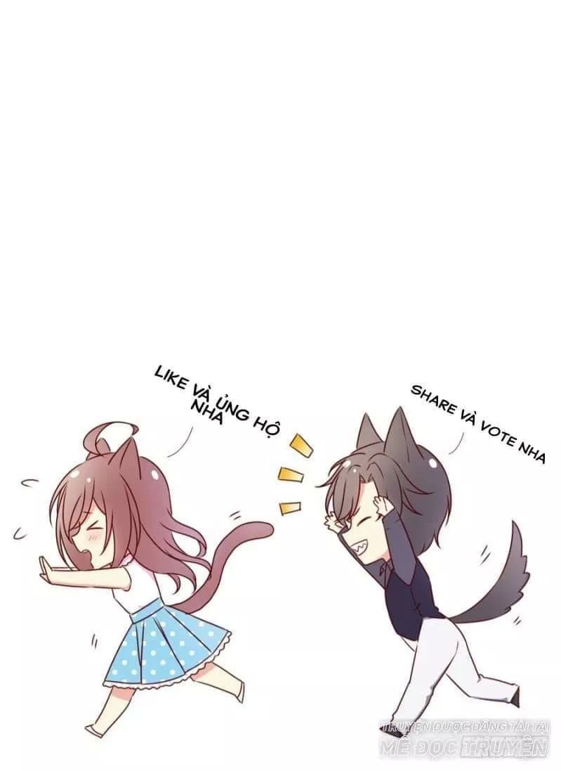 Nam Thần Truy Thê Chỉ Nam Chapter 5 - Trang 2