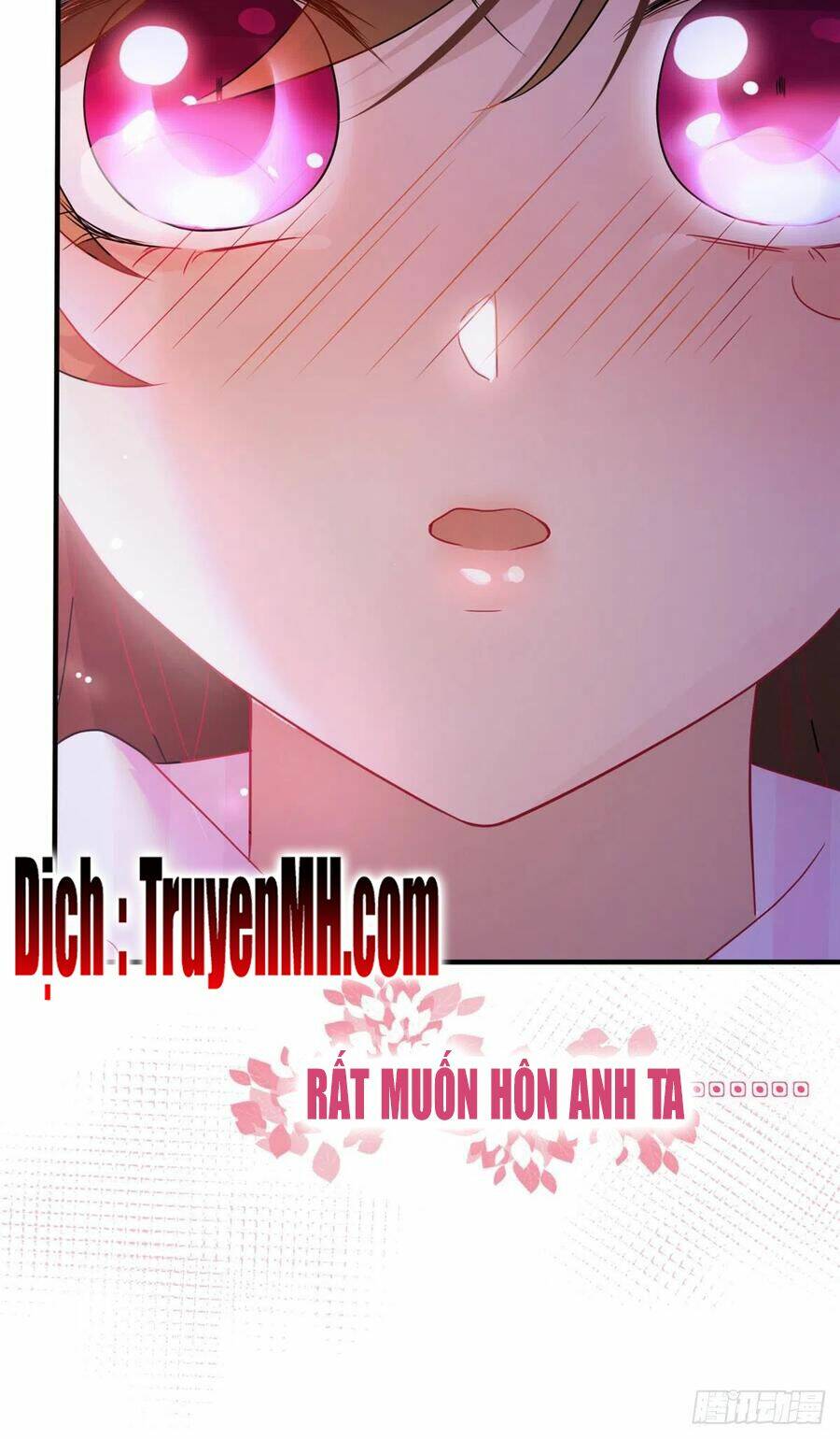 Nam Thành Chờ Trăng Về Chapter 91 - Trang 2