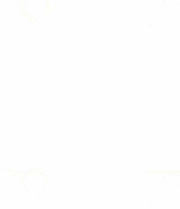 Nàng Bạo Chúa Muốn Có Một Cuộc Sống Hạnh Phúc Hơn! Chapter 11.5 - Trang 2