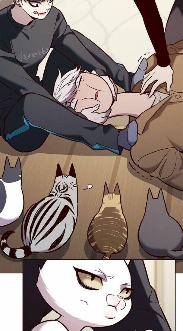 Nàng Cáo Trên Núi Chapter 178 - Trang 2