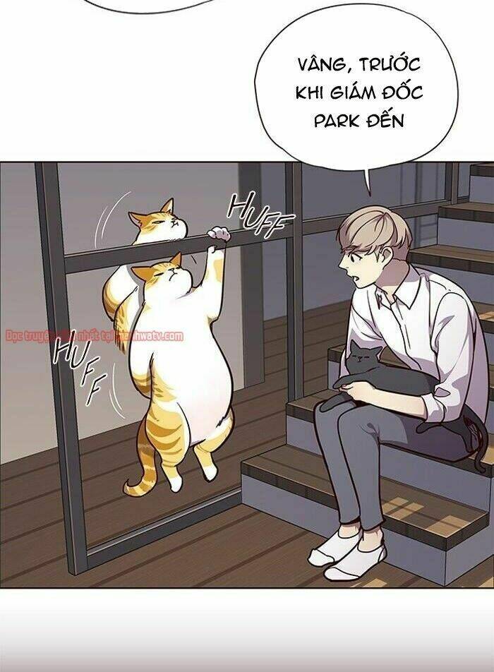 Nàng Cáo Trên Núi Chapter 51 - Trang 2