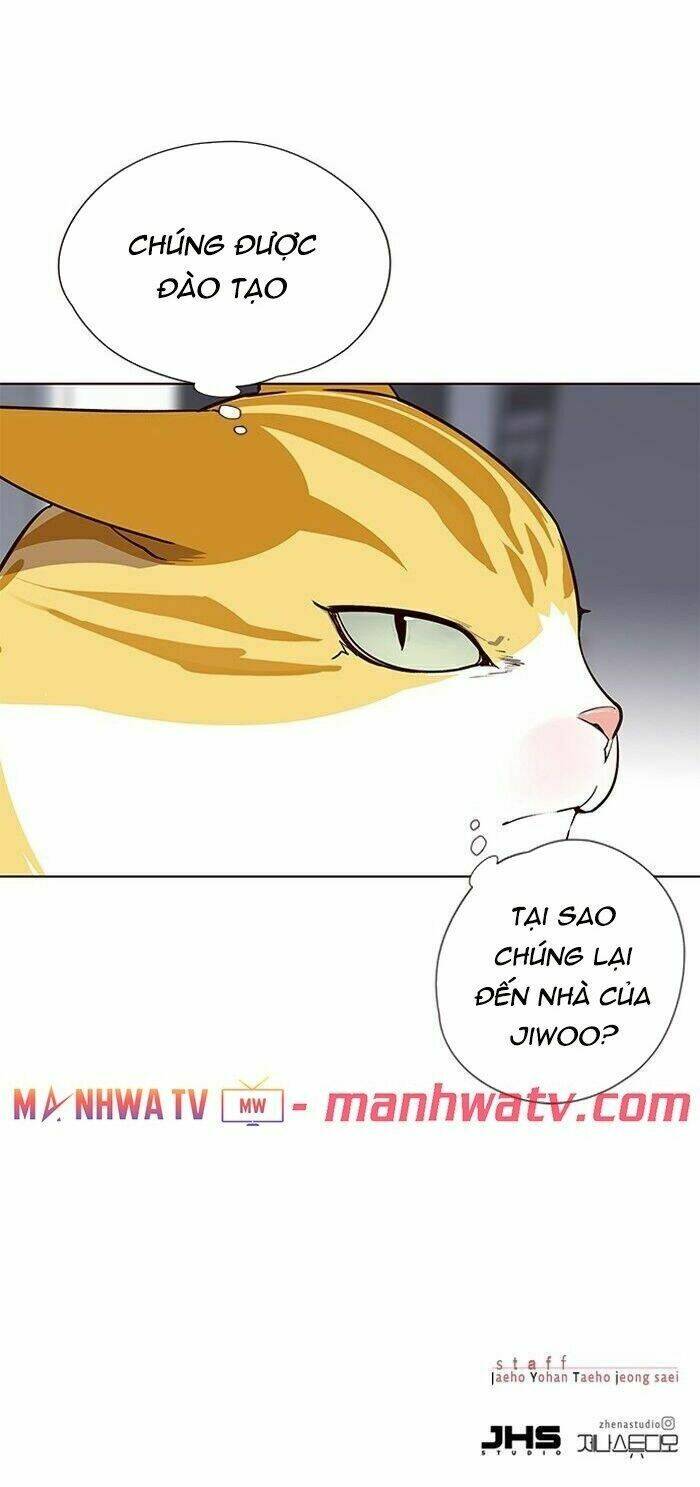 Nàng Cáo Trên Núi Chapter 57 - Trang 2