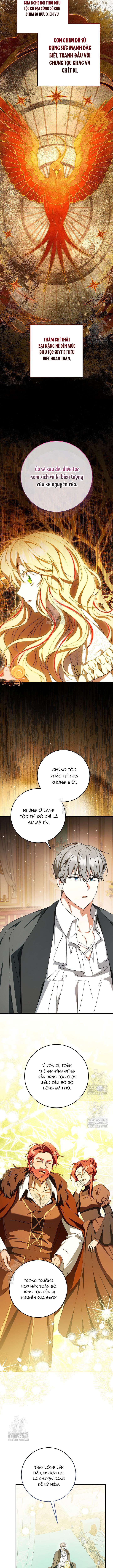 Nàng Chim Được Dinh Thự Sói Yêu Thương Chapter 59 - Trang 2