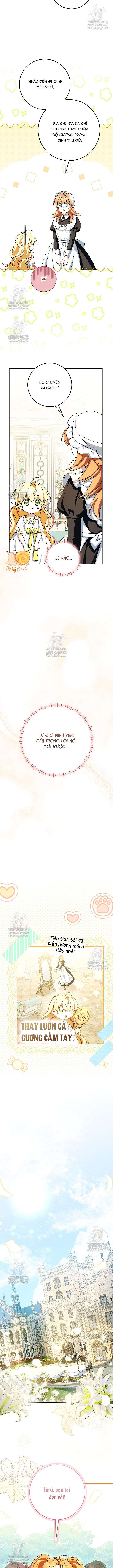 Nàng Chim Được Dinh Thự Sói Yêu Thương Chapter 60 - Trang 2