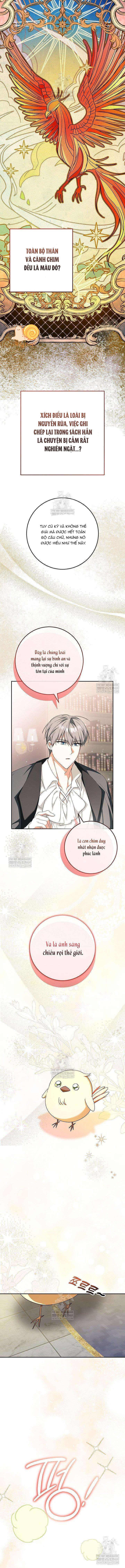 Nàng Chim Được Dinh Thự Sói Yêu Thương Chapter 62 - Trang 2