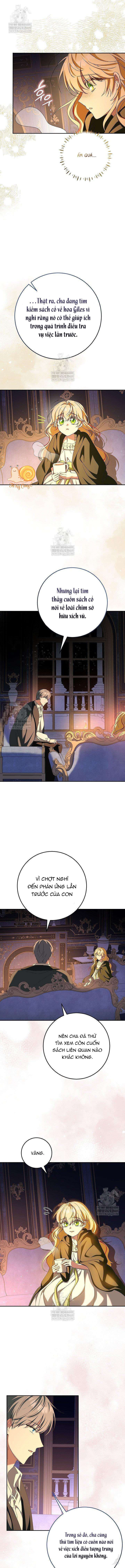 Nàng Chim Được Dinh Thự Sói Yêu Thương Chapter 62 - Trang 2