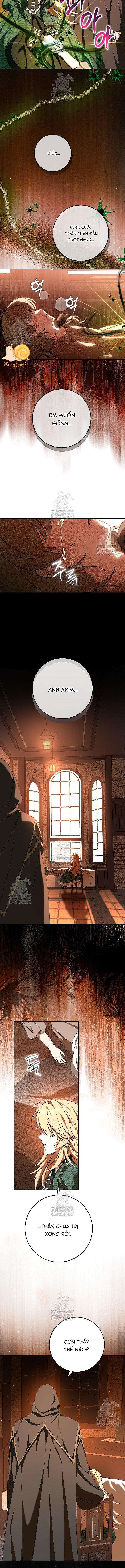 Nàng Chim Được Dinh Thự Sói Yêu Thương Chapter 63 - Trang 2