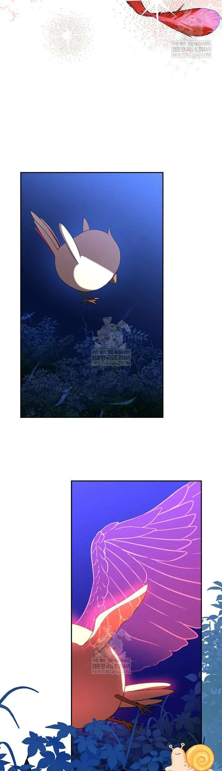 Nàng Chim Được Dinh Thự Sói Yêu Thương Chapter 65 - Trang 2