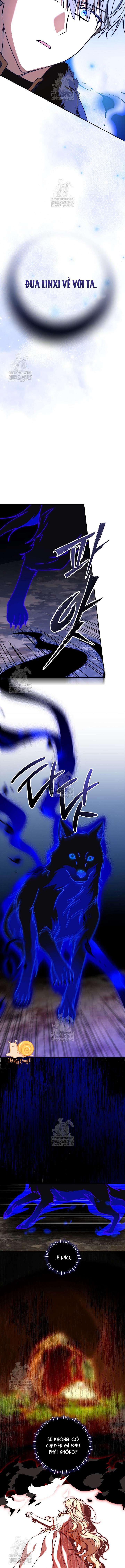 Nàng Chim Được Dinh Thự Sói Yêu Thương Chapter 66 - Trang 2