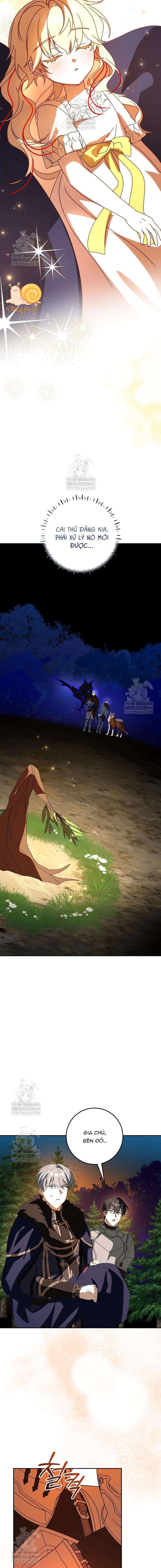 Nàng Chim Được Dinh Thự Sói Yêu Thương Chapter 66 - Trang 2