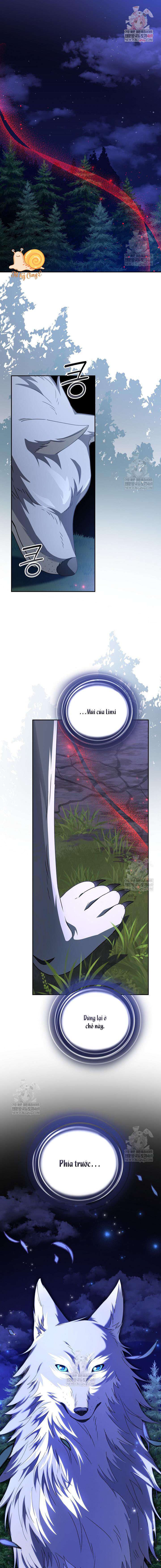 Nàng Chim Được Dinh Thự Sói Yêu Thương Chapter 66 - Trang 2