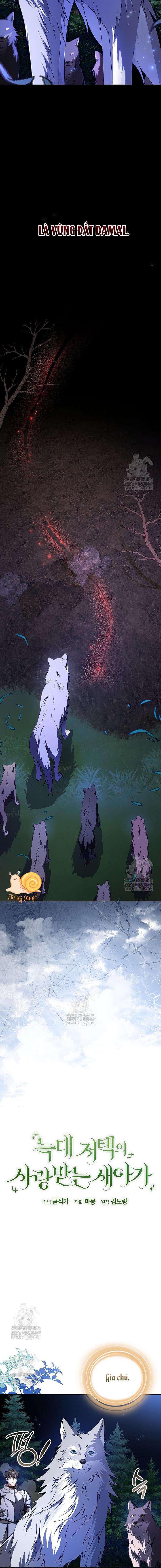 Nàng Chim Được Dinh Thự Sói Yêu Thương Chapter 66 - Trang 2