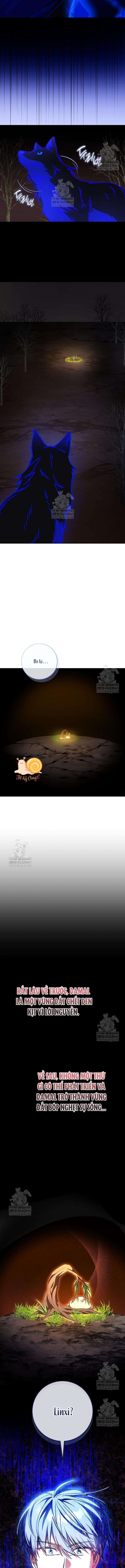 Nàng Chim Được Dinh Thự Sói Yêu Thương Chapter 66 - Trang 2