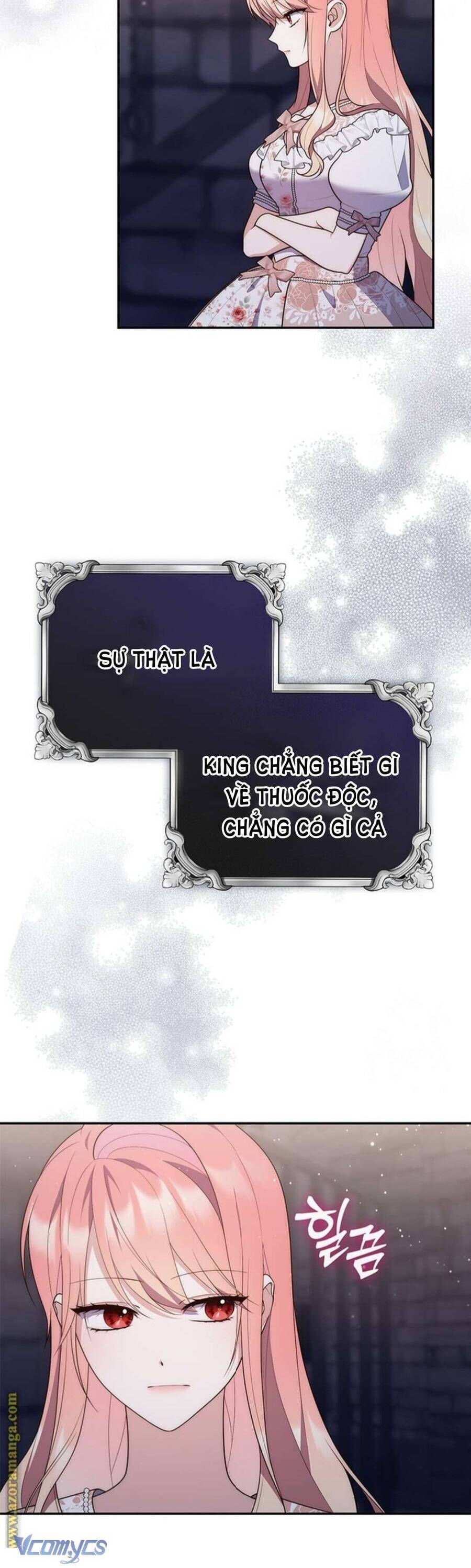 Nàng Công Chúa Tiên Tri Chapter 77 - Trang 2