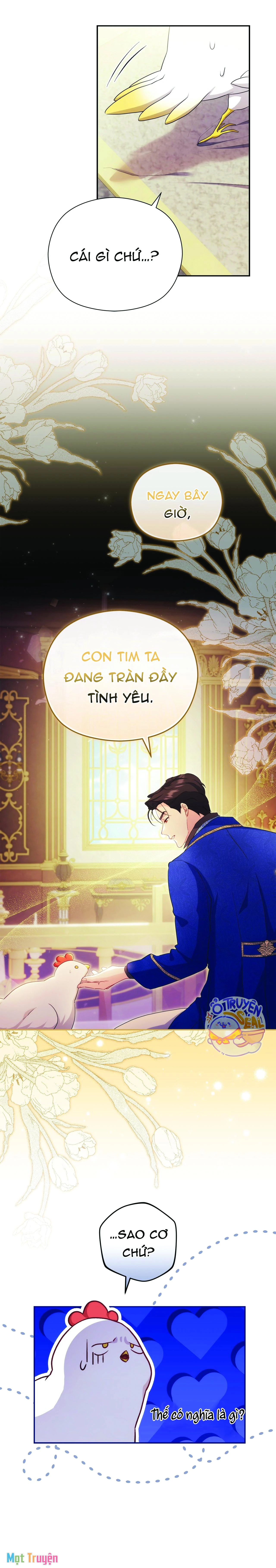 Nàng Công Chúa Trong Chuồng Gà Chapter 7 - Trang 2