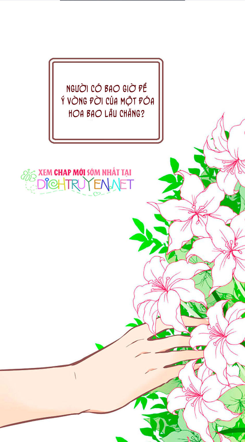 Nàng Persephone Và Chàng Hades Chapter 1 - Trang 2