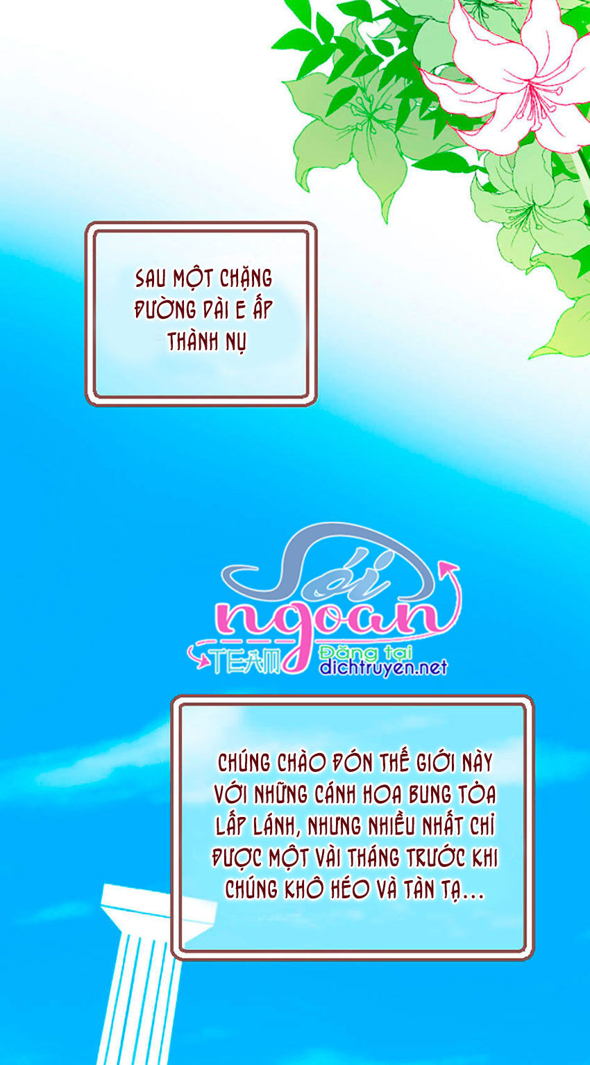 Nàng Persephone Và Chàng Hades Chapter 1 - Trang 2