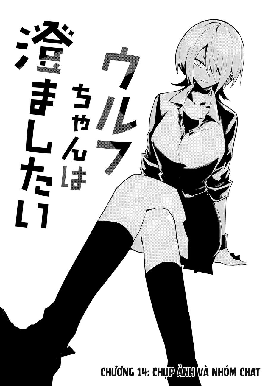 Nàng Sói Giả Vờ Ngầu Lòi Chapter 14 - Trang 2