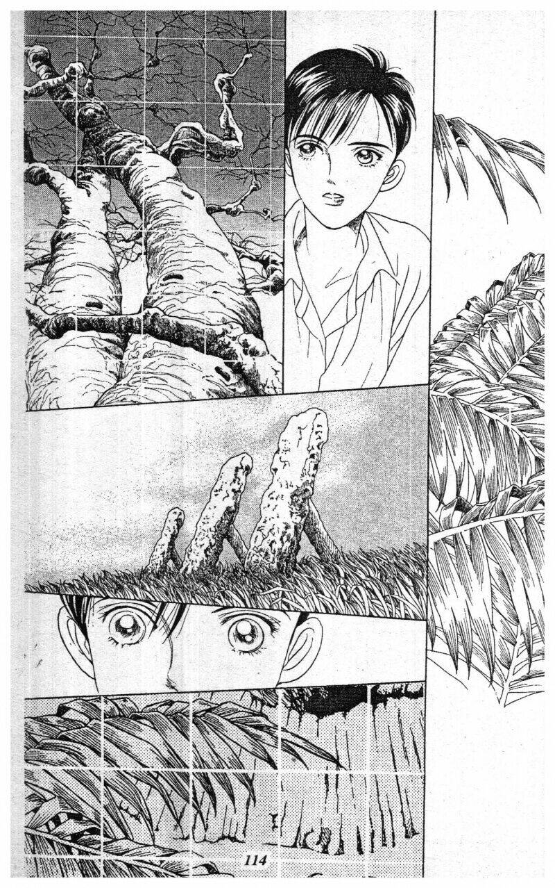 Nàng Tiên Ánh Trăng – Kaguya Hime Chapter 1 - Trang 2