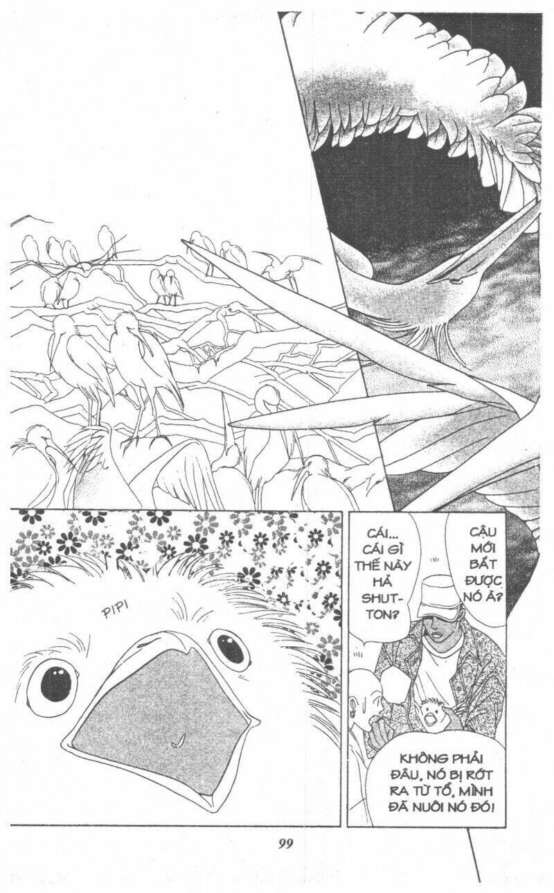 Nàng Tiên Ánh Trăng – Kaguya Hime Chapter 4 - Trang 2