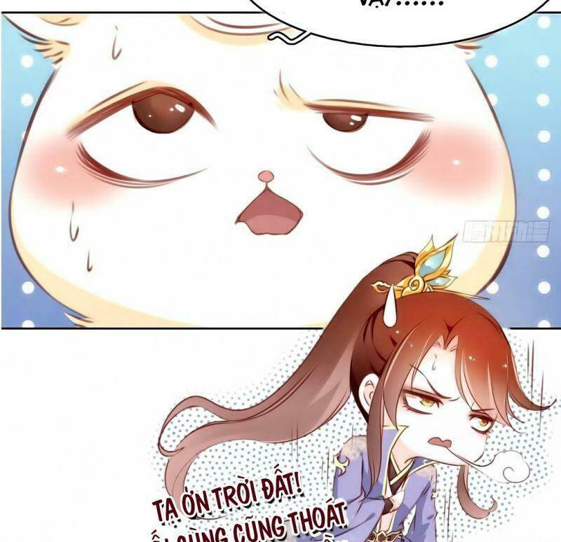 Nàng Trở Thành Bạch Nguyệt Quang Của Vương Gia Bệnh Kiều Chapter 0 - Trang 2