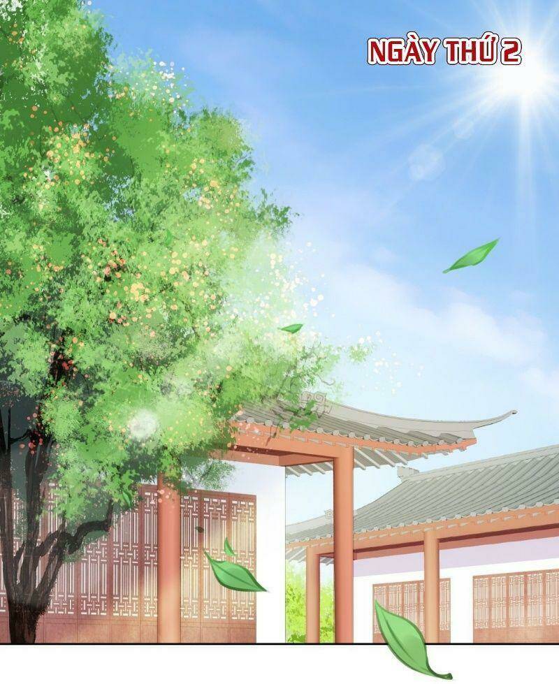 Nàng Trở Thành Bạch Nguyệt Quang Của Vương Gia Bệnh Kiều Chapter 10 - Trang 2