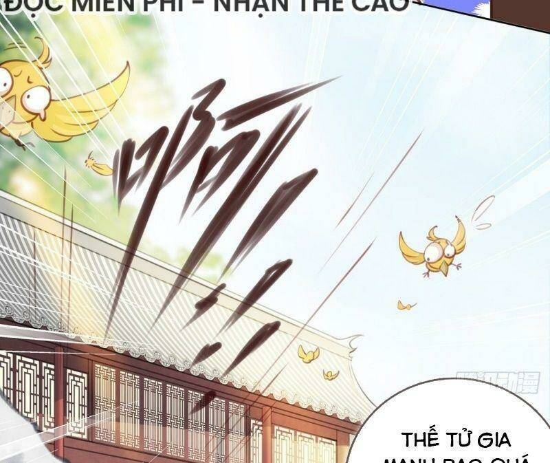 Nàng Trở Thành Bạch Nguyệt Quang Của Vương Gia Bệnh Kiều Chapter 12 - Trang 2