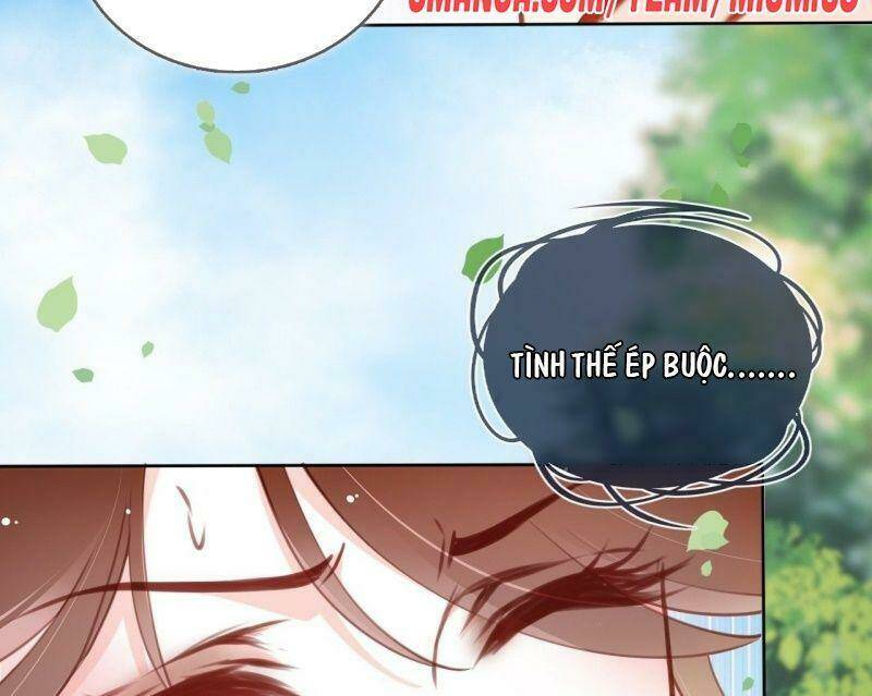 Nàng Trở Thành Bạch Nguyệt Quang Của Vương Gia Bệnh Kiều Chapter 12 - Trang 2