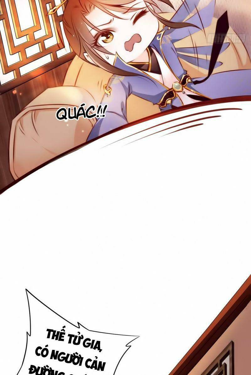 Nàng Trở Thành Bạch Nguyệt Quang Của Vương Gia Bệnh Kiều Chapter 2 - Trang 2