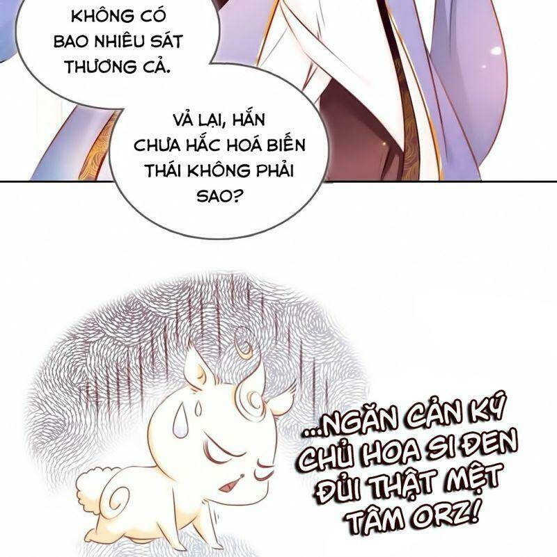 Nàng Trở Thành Bạch Nguyệt Quang Của Vương Gia Bệnh Kiều Chapter 4 - Trang 2