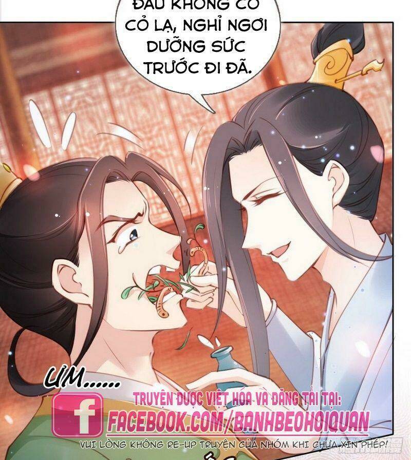 Nàng Trở Thành Bạch Nguyệt Quang Của Vương Gia Bệnh Kiều Chapter 8 - Trang 2