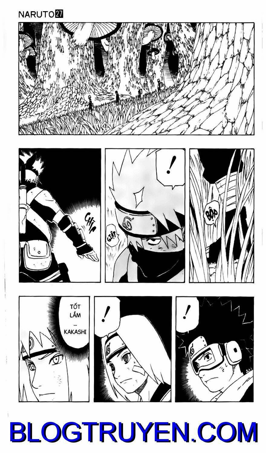 Naruto – Cửu Vĩ Hồ Ly Chapter 239 - Trang 2