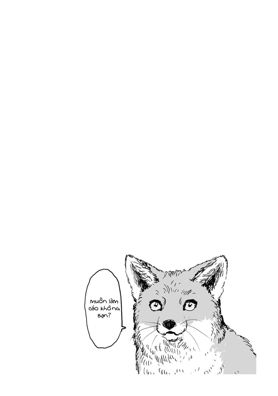 Này, Có Muốn Làm Tanuki Không? Chapter 4.5 - Trang 2