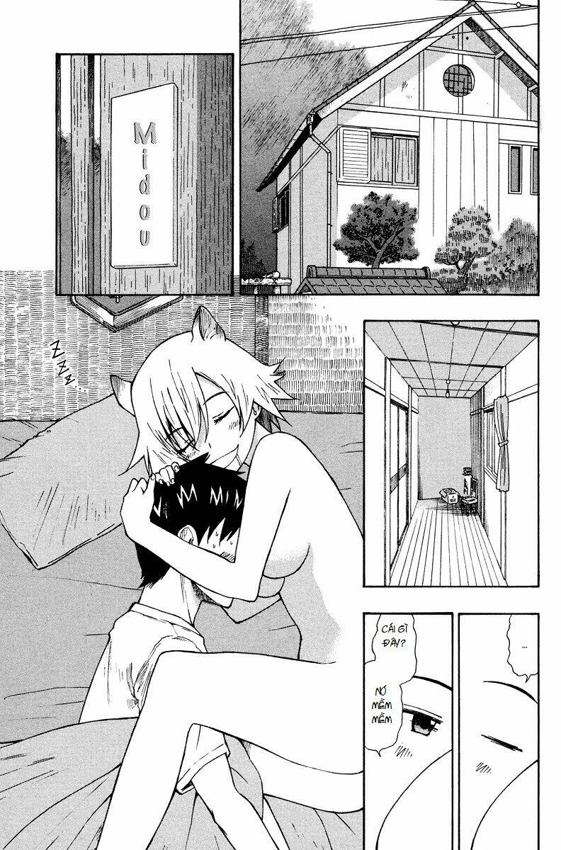 Neko Ane Chapter 2 - Trang 2