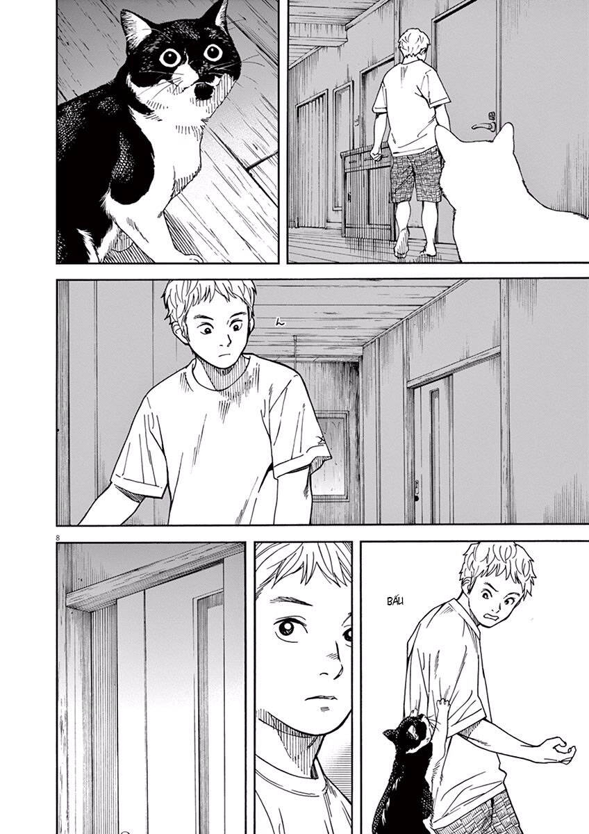 Neko No Otera No Chion-San Chapter 17 - Trang 2