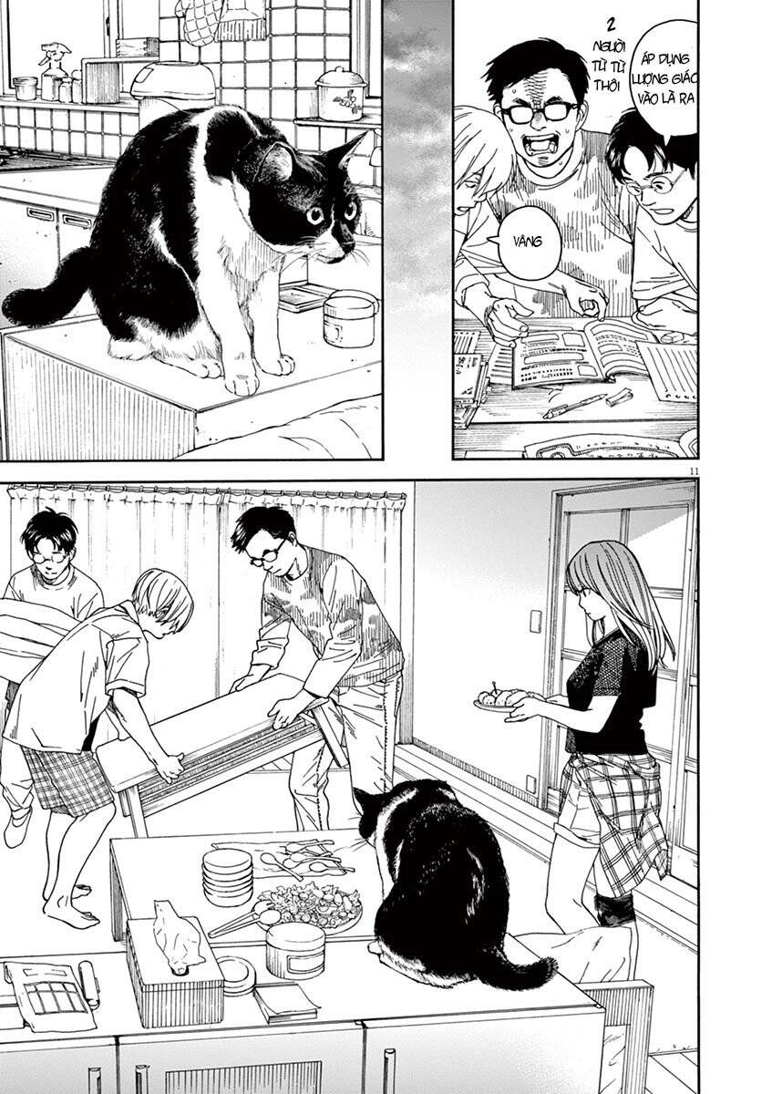 Neko No Otera No Chion-San Chapter 20 - Trang 2