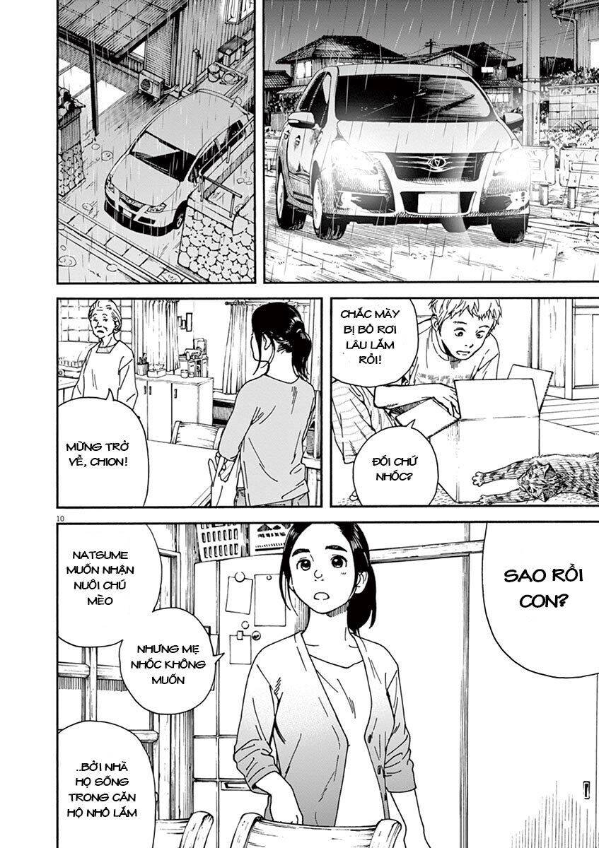 Neko No Otera No Chion-San Chapter 22 - Trang 2