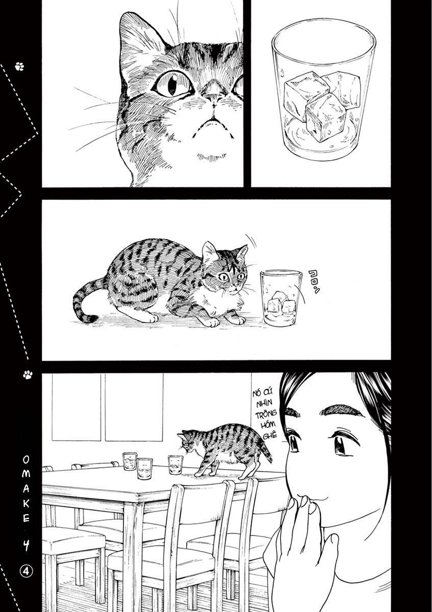 Neko No Otera No Chion-San Chapter 34 - Trang 2