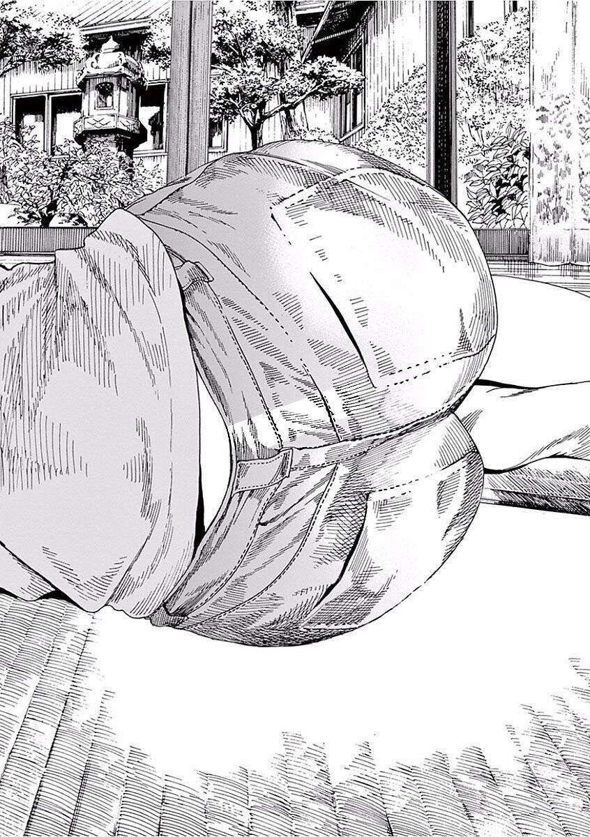 Neko No Otera No Chion-San Chapter 36 - Trang 2