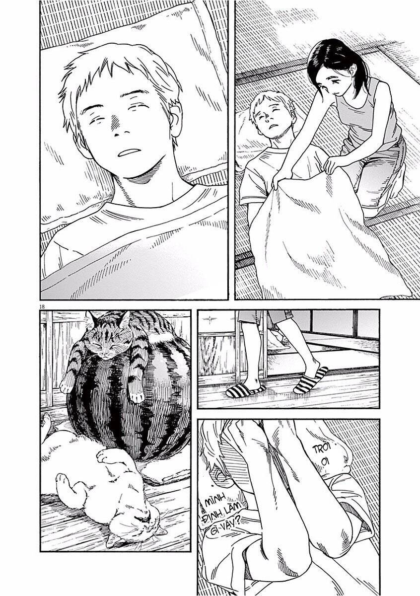 Neko No Otera No Chion-San Chapter 36 - Trang 2