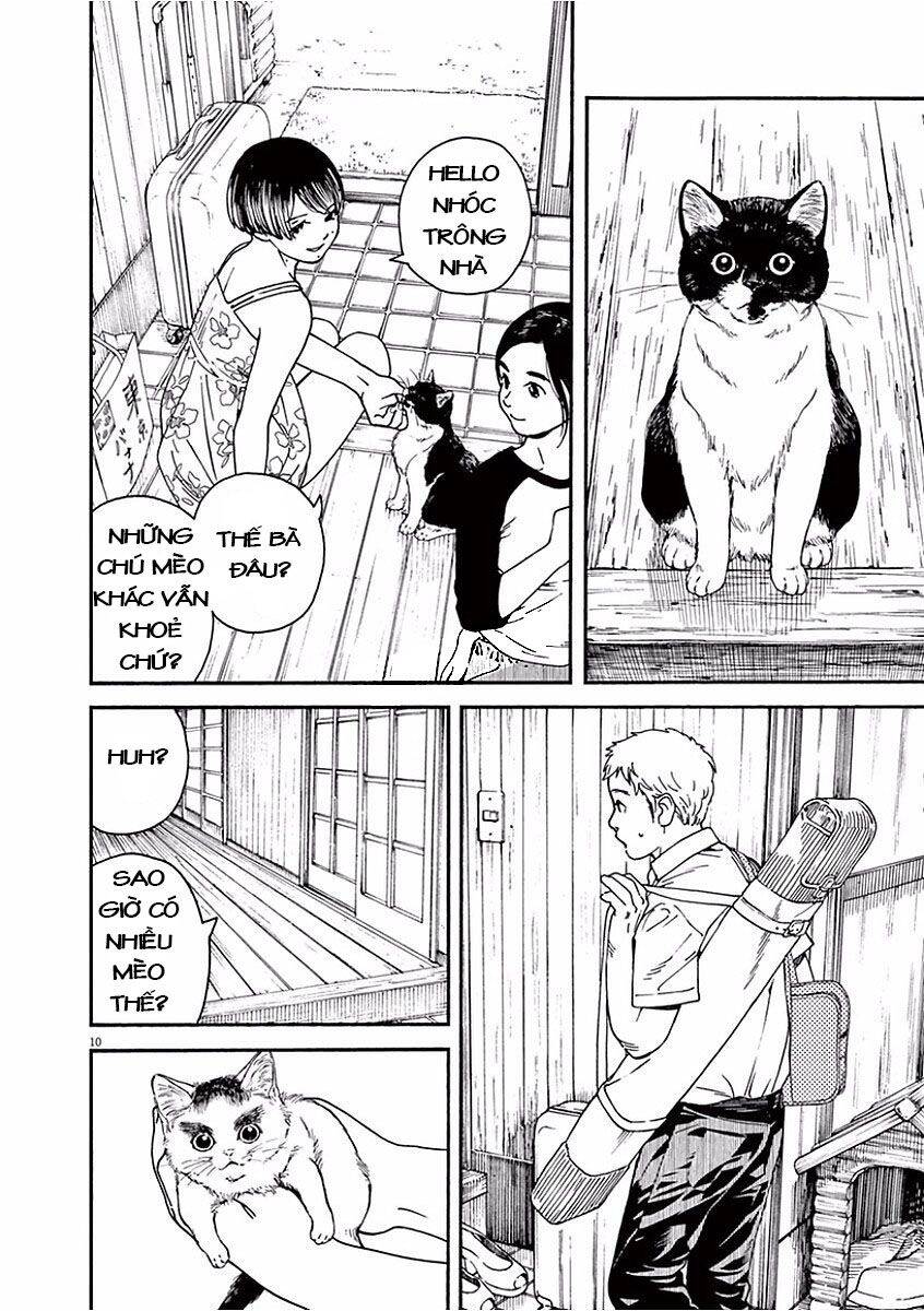 Neko No Otera No Chion-San Chapter 37 - Trang 2