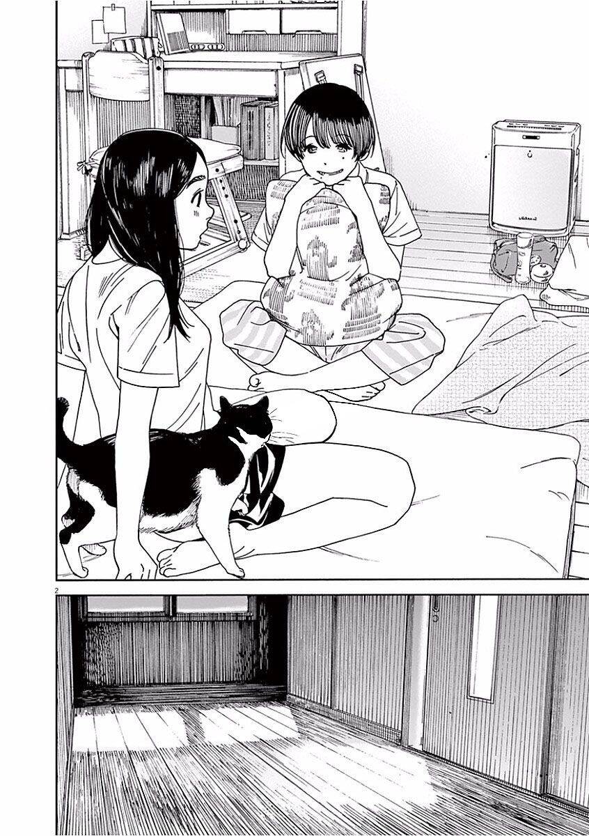 Neko No Otera No Chion-San Chapter 38 - Trang 2