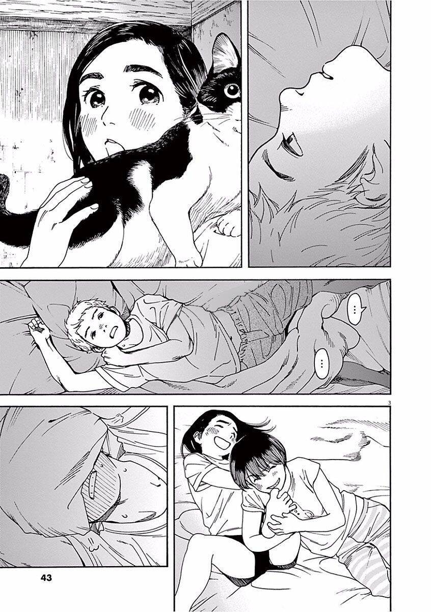 Neko No Otera No Chion-San Chapter 38 - Trang 2