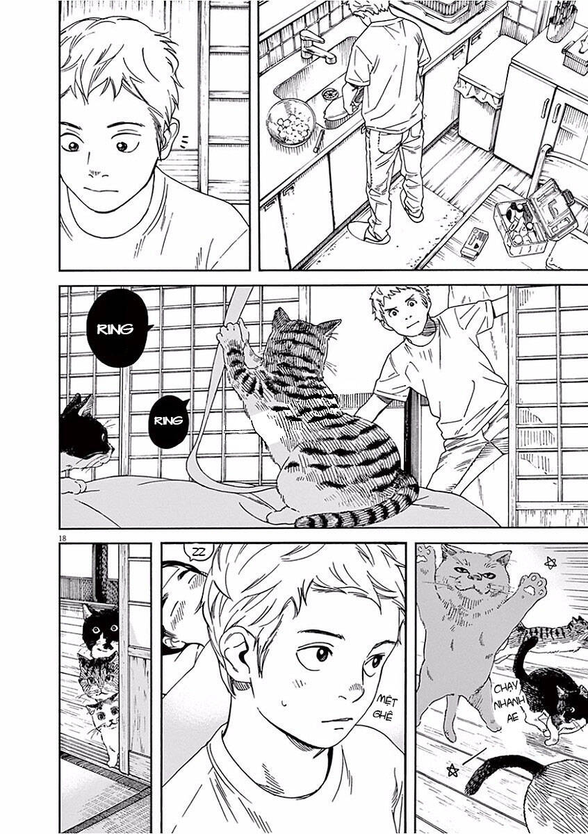 Neko No Otera No Chion-San Chapter 42 - Trang 2